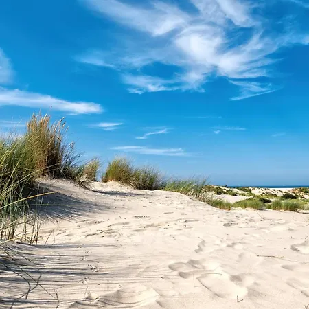 116 Qm - Exclusive Vor Der Kueste Ostfrieslands Negenmeerten